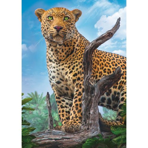 Puzzle 500 Pièces Léopard