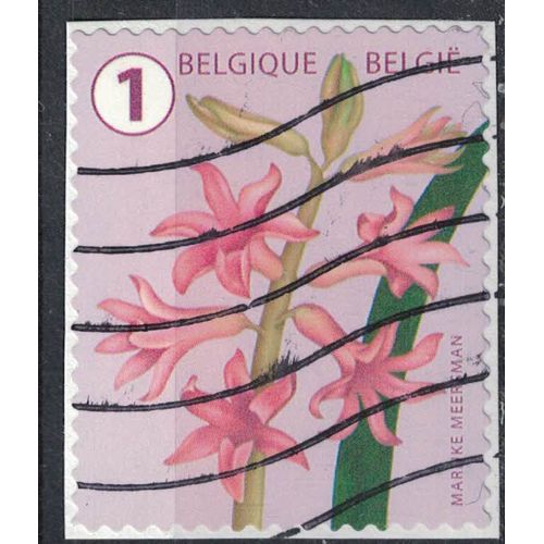 Belgique 2016 Oblitéré Used Fleur Flower Hyacinth Jacinthe Véritable Su