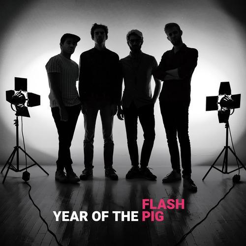 Year Of The Pig