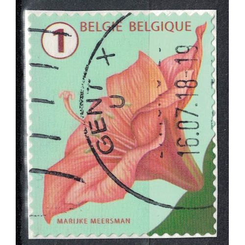 Belgique 2016 Oblitéré Used Flower Fleur Amaryllis Su