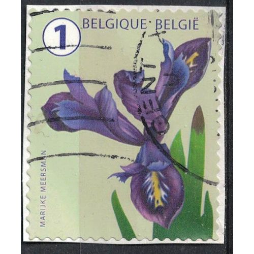 Belgique 2016 Oblitéré Used Flower Fleur Iris Su
