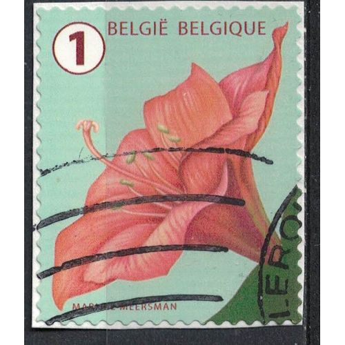 Belgique 2016 Oblitéré Used Flower Fleur Amaryllis Su