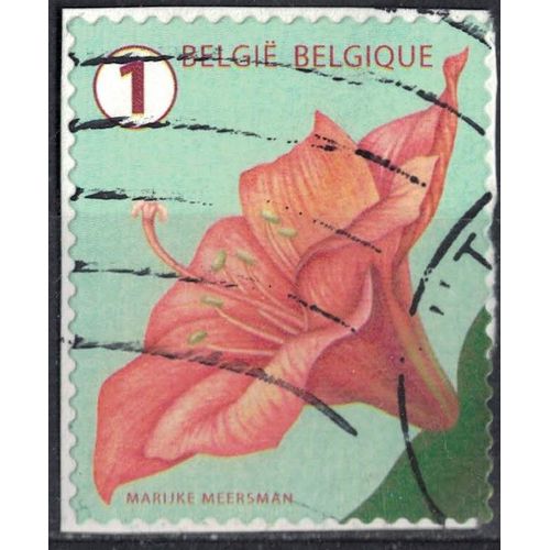 Belgique 2016 Oblitéré Used Flower Fleur Amaryllis Su