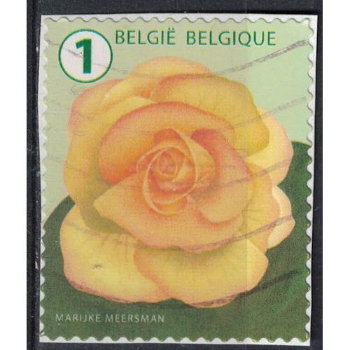 Belgique 2016 Oblitéré Used Flower Fleur Bégonia Su