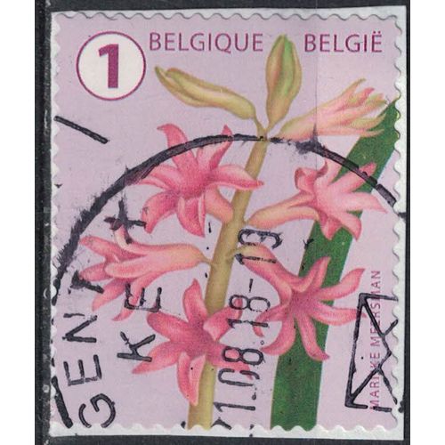 Belgique 2016 Oblitéré Used Fleur Flower Hyacinth Jacinthe Véritable Su