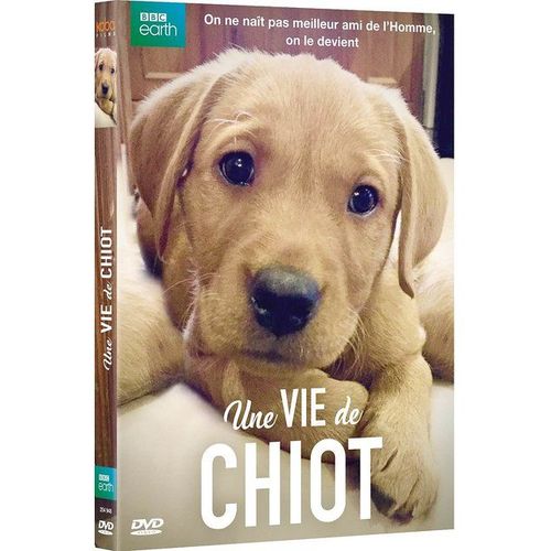 Une Vie De Chiot