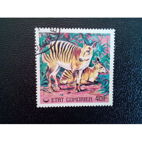Timbre Comores Yt 177 Zebra Duiker (Cephalopus Zebra) 1977