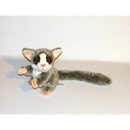 Galago Anima Peluche Doudou Mammifere Lemurien Gris