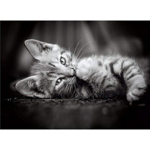 Puzzle Adulte : Les Petit Chat Gris Couche - 1000 Pieces - Clementoni - Collection Animaux