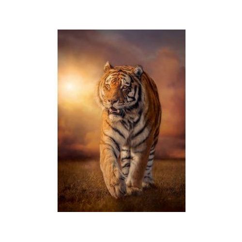 Puzzle Adulte : Tigre Dans La Savane - 1500 Pieces - Clementoni - Collection Animaux Sauvages