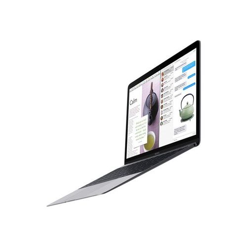 Apple MacBook MNYF2D/A - Mi-2017 - Core m3 8 Go RAM 256 Go SSD Gris QWERTZ