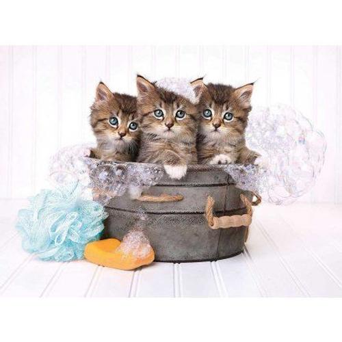 Puzzle 3 Chatons Dans Une Bassine - 500 Pieces - Clementoni - Collection Animaux - Chat