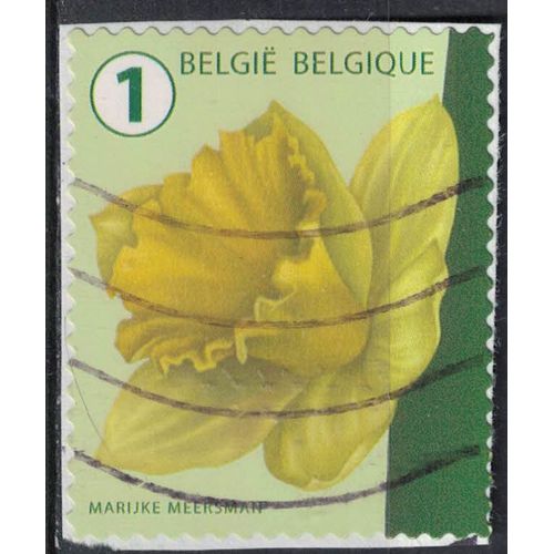 Belgique 2016 Oblitéré Used Flower Fleur Daffodil Jonquille Narcissus Su