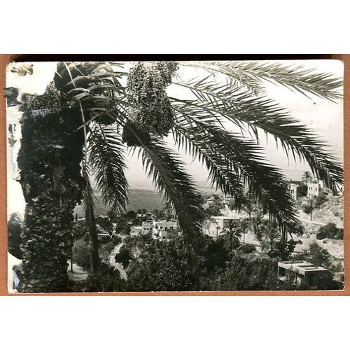 Carte Postale - " Souvenir Du Liban "