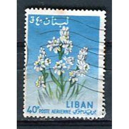 Timbre Oblitéré - Poste Aérienne - " Narcissus Sp." - 1964 - Liban