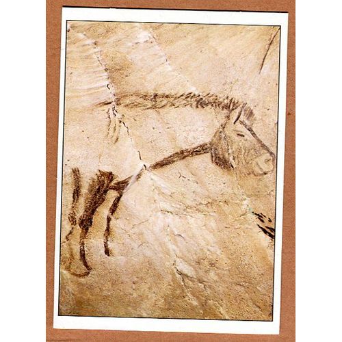 Carte Edito-Service - " Partie Antérieure Du " Cheval Peint " " - Grotte De Niaux - Ariège - 09