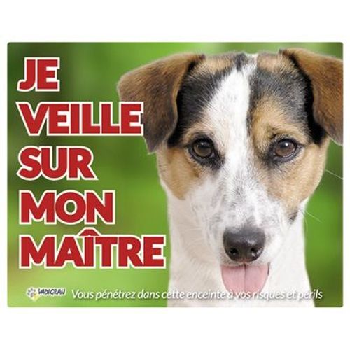 Panneau Photo Chien Jack Russel Fr