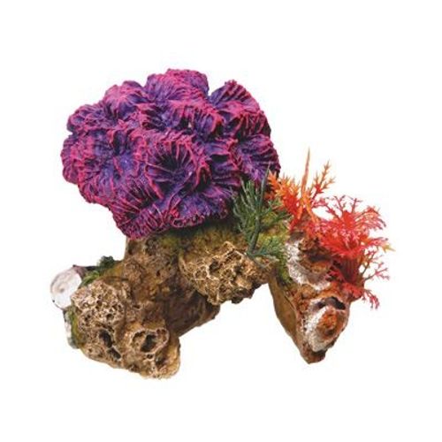Aqua Deco Corail 130x100x120mm
