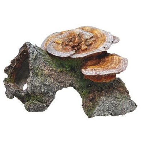 Aqua Decoarbre Creux Et Champignons180x190x100mm