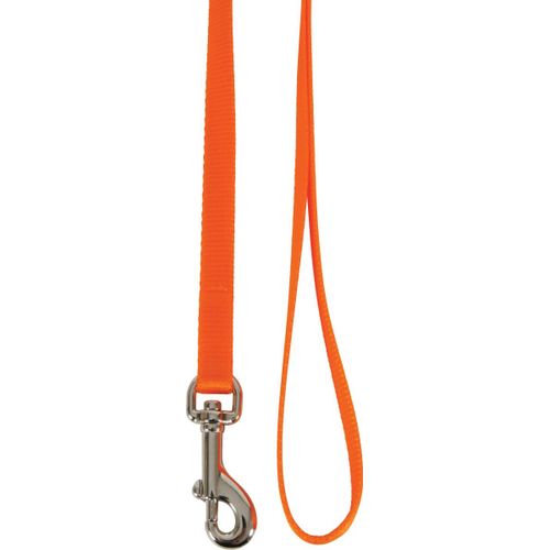 Laisse Nylon - Orange - Zolux