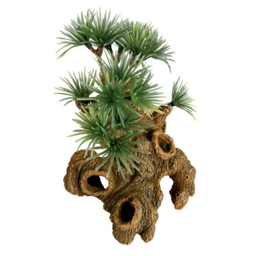 Décor Bonsai Nano
