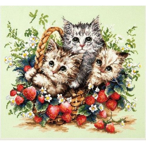 Beaux Chatons Chudo-Igla 58-12
