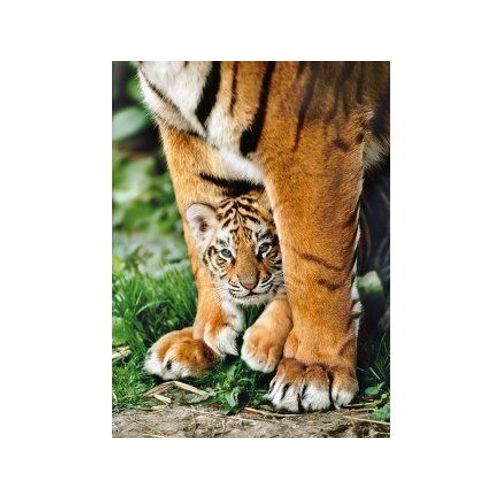 Puzzle Tigre Du Bengale Et Son Bebe - 500 Pieces - Clementoni - Collection Animaux Sauvages