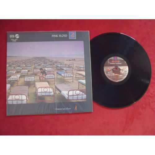 A Momentary Lapse Of Reason - Pressage Hongrie