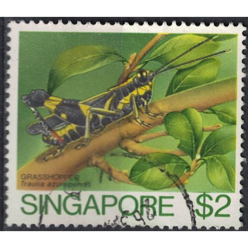 Singapour 1985 Oblitéré Used Insecte Traulia Azureipennis Grasshopper Sauterelle