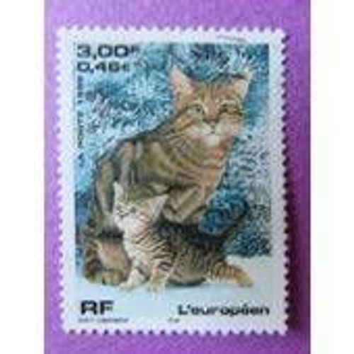 Timbre Oblitéré "Chat Européén"