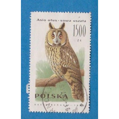 Timbre Pologne Polska Hibou Animaux 1500 Oblitéré Ref Anip1