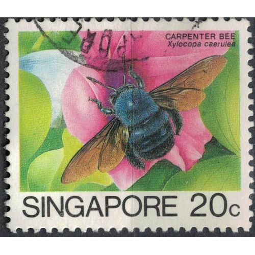Singapour 1988 Oblitéré Used Insecte Xylocopa Caerulea Abeille Charpentière Bleue Su
