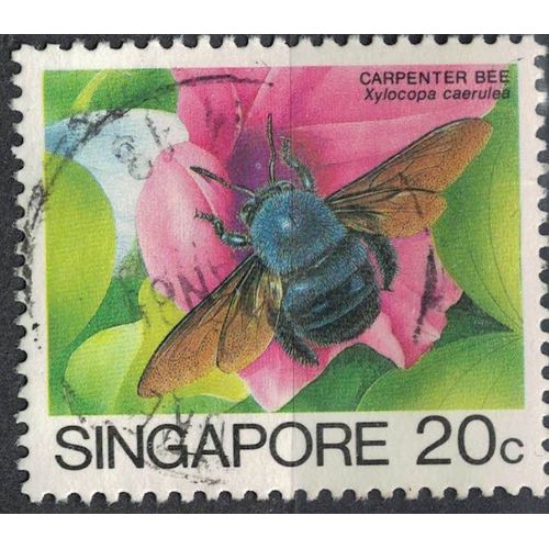 Singapour 1988 Oblitéré Used Insecte Xylocopa Caerulea Abeille Charpentière Bleue Su