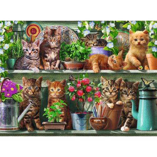 Puzzle 500 Pièces Des Chats Sur L'etagère