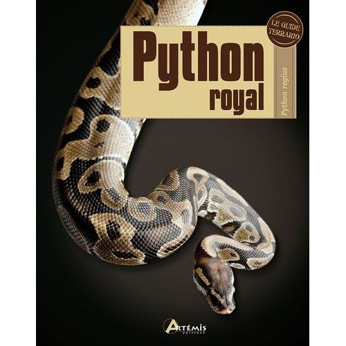 Python Royal - Python Regius