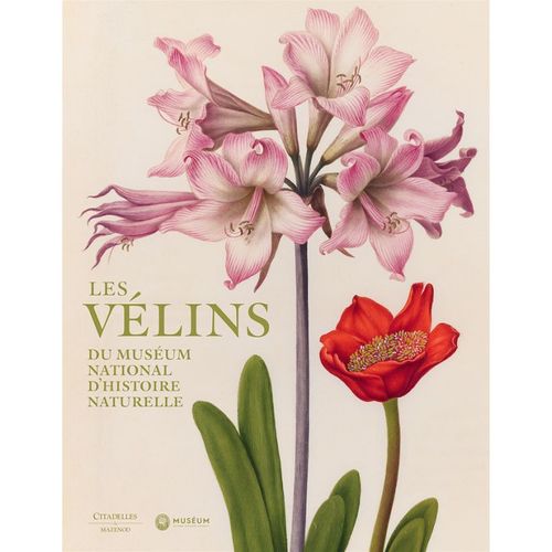 Les Vélins Du Muséum National D'histoire Naturelle