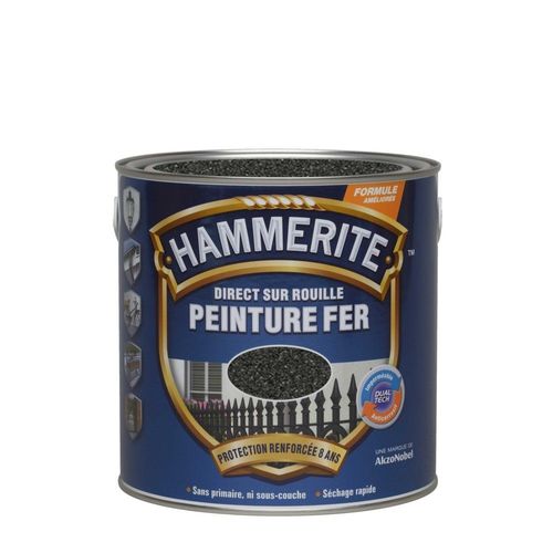 Peinture fer HAMMERITE forgé 2,5L noir