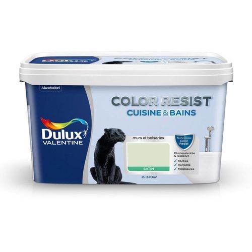 Peinture Dulux Valentine COLOR RESIST cuisine et salle de bain satin vert 2 L
