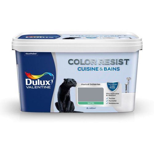 Peinture Dulux Valentine COLOR RESIST cuisine et salle de bain satin gris béton 2 L