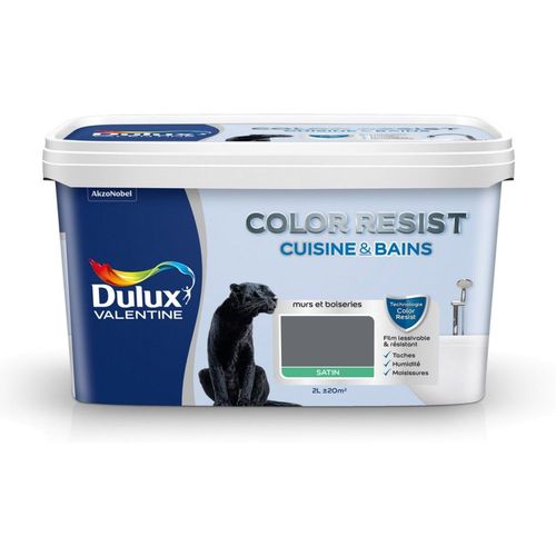 Peinture Dulux Valentine COLOR RESIST cuisine et salle de bain satin anthracite 2 L