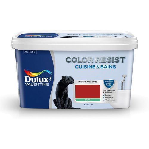 Peinture Dulux Valentine COLOR RESIST cuisine et salle de bain satin rouge 2 L