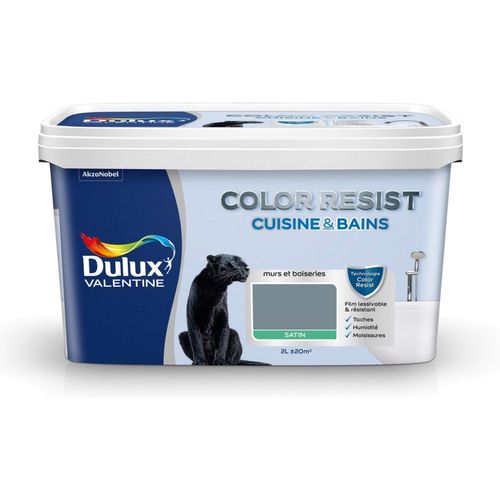 Peinture Dulux Valentine COLOR RESIST cuisine et salle de bain satin bleu g 2 L