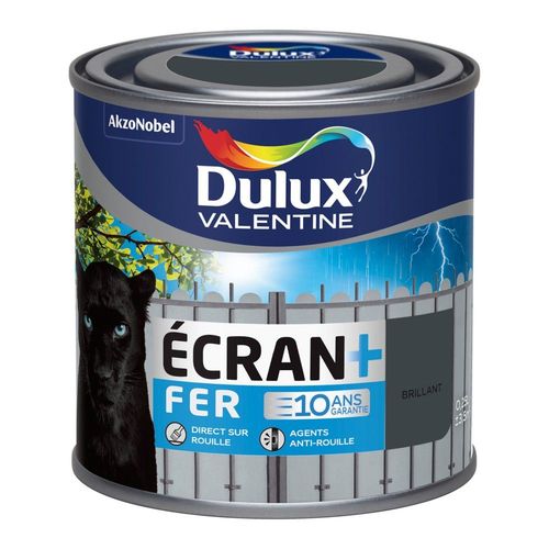 Peinture Spéciale Fer Dulux Valentine Écran+ Brillant Anthracite 0,25L
