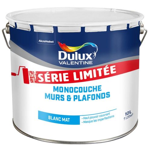 Peinture monocouche murs et plafonds Dulux Valentine Blanc mat 10L