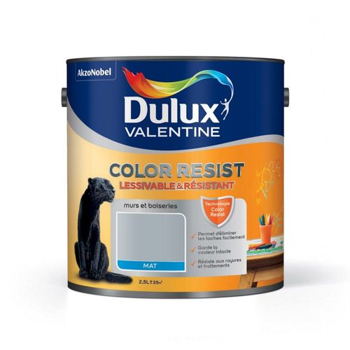 Peinture murs et boiseries Dulux Valentine COLOR RESIST mat gris acier 2.5 L