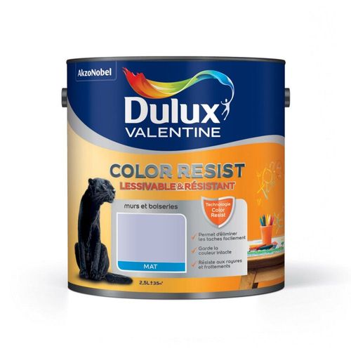 Peinture murs et boiseries Dulux Valentine COLOR RESIST mat vert minéral 2.5 L