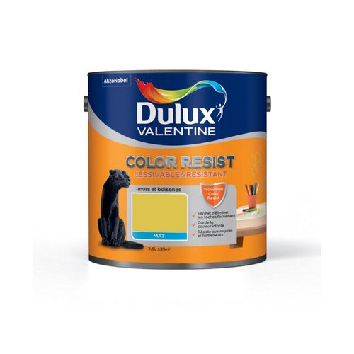Peinture murs et boiseries Dulux Valentine COLOR RESIST mat top verte 2.5 L