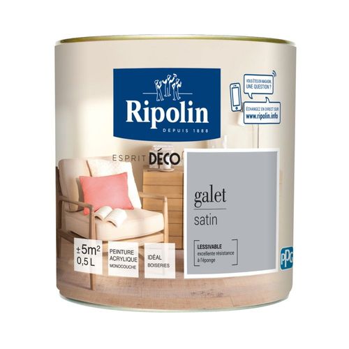 Peinture acrylique Ripolin ESPRIT DECO monocouche satin 0L5 gris galet
