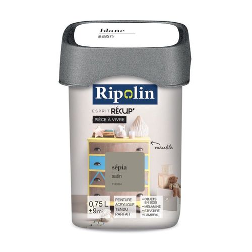 Peinture acrylique Ripolin de rénovation pièce à vivre 0L75 sepia