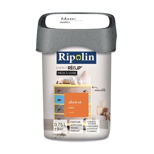 Peinture acrylique Ripolin de rénovation pièce à vivre 0.75 L abricot